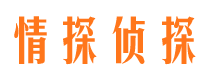 闸北市侦探调查公司